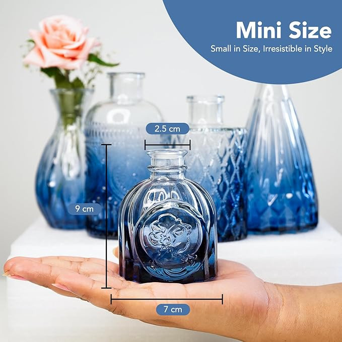 Nostrae by Ekhasa 100% Crystal Clear Glass Bud Vases Flower Pots for Home Decor (Set of 5) | Center Table Mini Decor Items | Transparent Glass Vase for Water Plants | Glass Planters for Indoor Plants