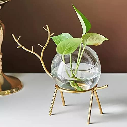 Home Trends India Unique Glass Planter Holder - Deer Glass Pot Flower Vase | Elegant Handmade Decorative Round Glass Vase for Home & Office Décor Gold Design (Set of 2)