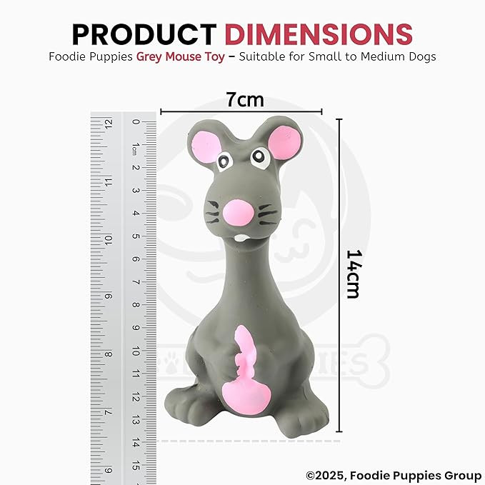 Foodie Puppies Squeaky Latex Dog Toy for Small Dogs & Puppies | Grey Mouse Shape | Durable, Soft & Safe | Fun Chew, Fetch & Play Toy | 14cm | Interactive Animal Design with Cotton Filling